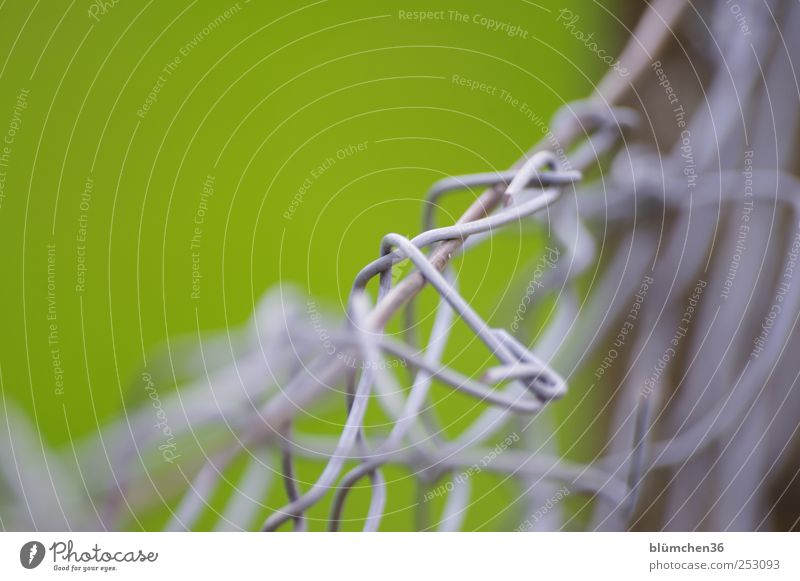 DrahtZaunMaschen Maschendrahtzaun Metall Knoten Netzwerk festhalten eckig grau grün Schutz Sicherheit Trennung Zusammenhalt Grenze Barriere chaotisch geflochten