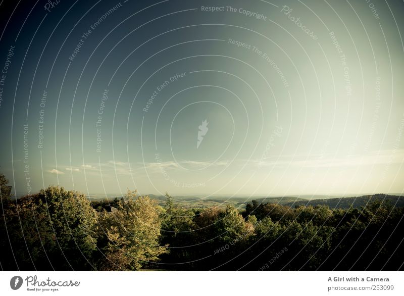 Rhön Aussicht Umwelt Natur Landschaft Pflanze Himmel Wolken Herbst Schönes Wetter Baum Feld Wald Hügel dunkel gigantisch groß schön wild Ferne Bayrische Rhön