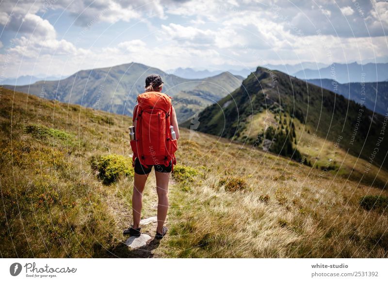 Der Weg ist das Ziel. Erholung Sommer Sommerurlaub Berge u. Gebirge wandern Frau Erwachsene Umwelt Natur Alpen Fitness Bergsteigen Gesundheitssport Sport