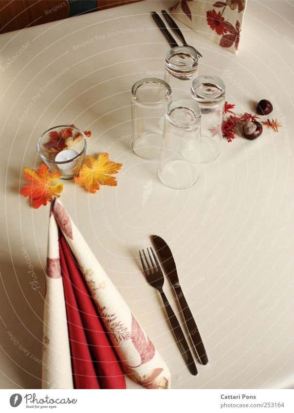 Für den Herbst gedeckt. Büffet Brunch Festessen Geschirr Glas Besteck Messer Gabel Blatt liegen stehen elegant hell Sauberkeit Stil Dekoration & Verzierung