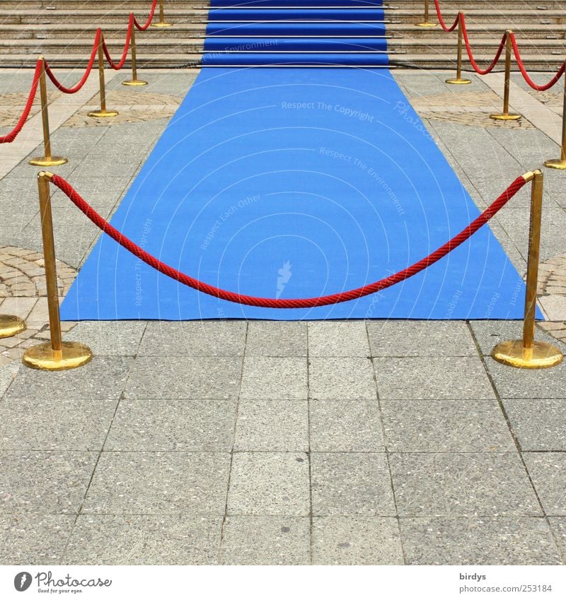 Blauer Teppich mit edlen Absperrelementen als Empfang prominenter Gäste. Roter Teppich. Starruhm Reichtum edel Prominenz Stil Veranstaltung ausgehen Show Oper