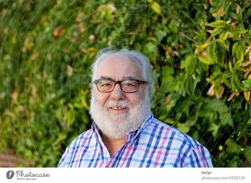 Porträt eines älteren Mannes mit weißem Bart im Garten Lifestyle Glück Gesicht ruhig Freizeit & Hobby Sommer Ruhestand Mensch Erwachsene Großvater Natur Park