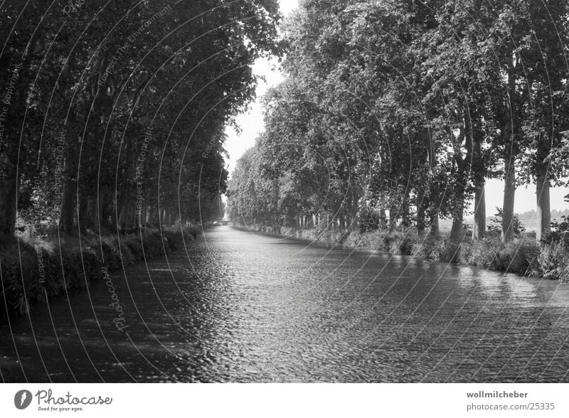 Canal du Midi Allee Baum Wasserfahrzeug Schattenspiel Abwasserkanal