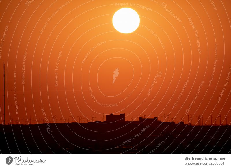 Sonnenuntergang am Schöneberger Gasometer III Natur Landschaft Himmel Wolkenloser Himmel Sonnenaufgang Sonnenlicht Sommer Schönes Wetter Feld Berlin Deutschland