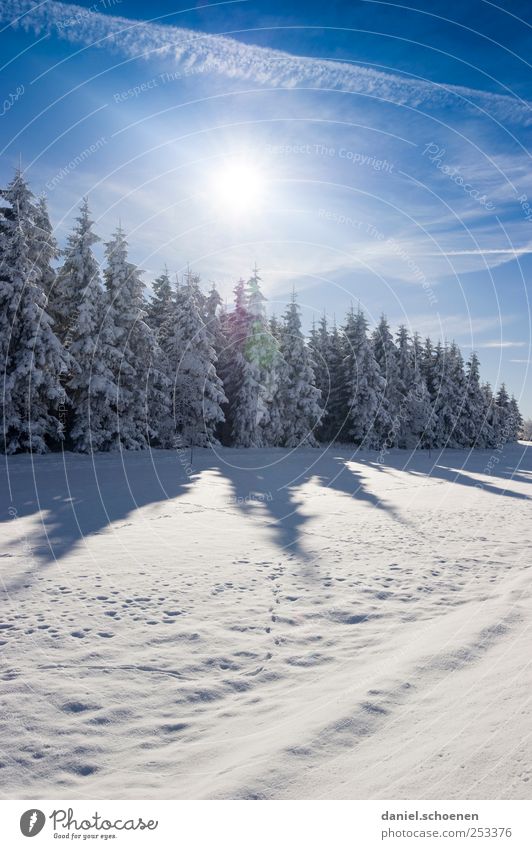 Schwarzwaldwinterwerbung Ferien & Urlaub & Reisen Ausflug Winter Schnee Winterurlaub Berge u. Gebirge wandern Umwelt Natur Landschaft Himmel Sonne Sonnenlicht