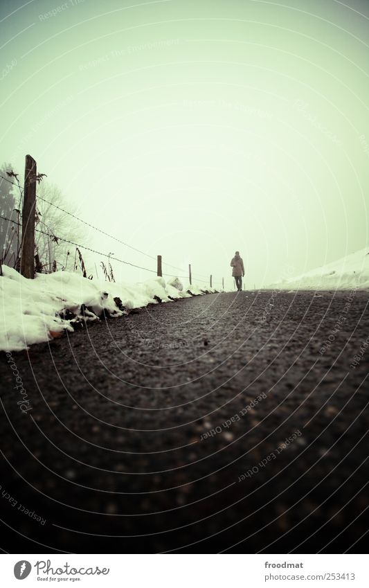 wegesrand Mensch Natur Winter schlechtes Wetter Nebel frieren wandern kalt trist Wege & Pfade Asphalt Zaun Stacheldrahtzaun Spaziergang Nebelschleier Farbfoto