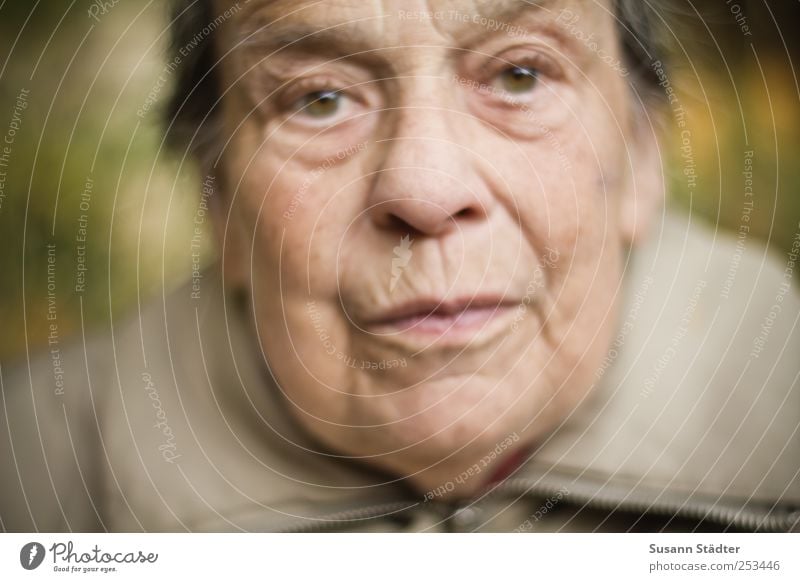 . Mensch Frau Erwachsene Weiblicher Senior Großmutter Kopf Gesicht alt authentisch Kraft Willensstärke Jacke kalt nah Außenaufnahme Porträt Nahaufnahme