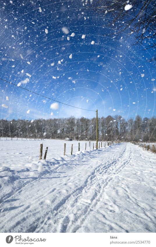 Schneegestöber Umwelt Natur Landschaft Himmel Winter Schönes Wetter Eis Frost Schneefall blau weiß Bewegung Vergänglichkeit Wege & Pfade Schneelandschaft