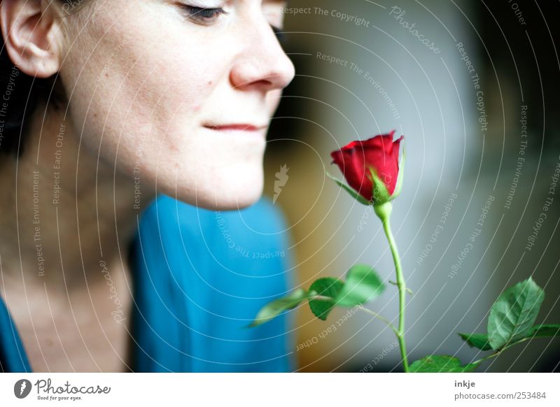 ich Dich auch ! elegant Glück Flirten Valentinstag Muttertag Geburtstag feminin Partner Erwachsene Leben Gesicht 1 Mensch Rose Blühend Duft Lächeln Blick schön
