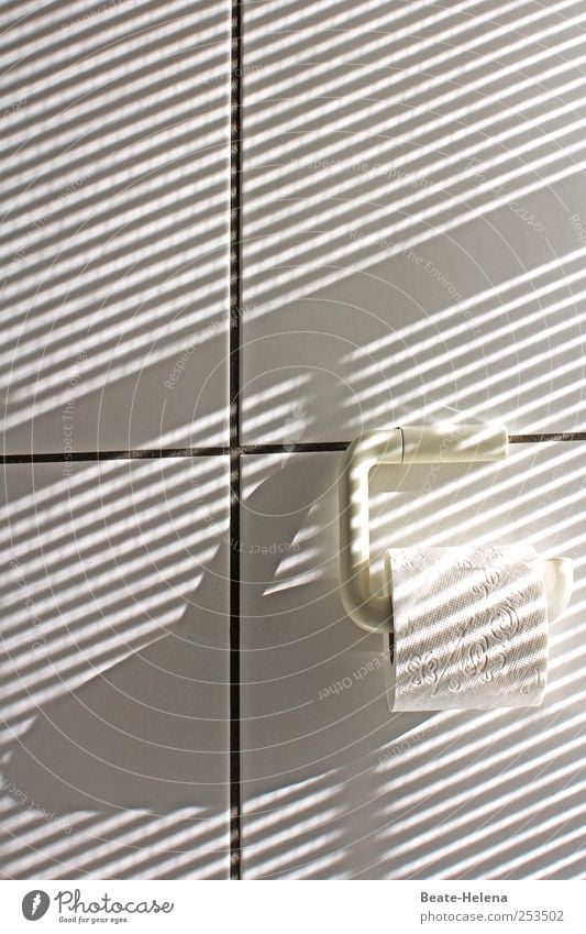 Streiflichter Lifestyle Bad Mauer Wand Toilettenpapier Streifen ästhetisch außergewöhnlich hell einzigartig weiß Fröhlichkeit rein Qualität Vergänglichkeit