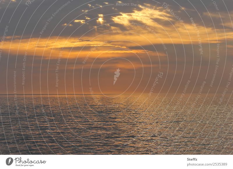 Abendlicht an der Irischen See Irische See Muir Éireann Meer maritim Sonnenuntergang nordisch Dämmerung nordische Romantik Ferne Horizont Wolken Sonnenlicht