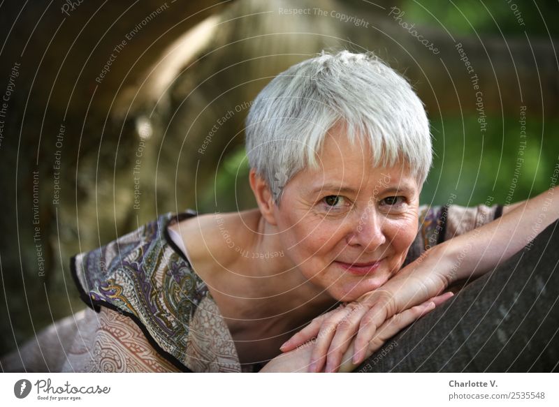 Entspannt Mensch feminin Frau Erwachsene Weiblicher Senior 1 45-60 Jahre Baum Park grauhaarig kurzhaarig Holz Lächeln leuchten liegen Blick authentisch nah