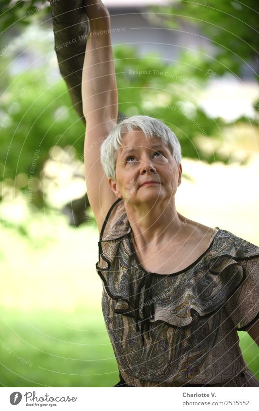 Blick nach oben Mensch feminin Frau Erwachsene Weiblicher Senior 1 45-60 Jahre Schönes Wetter Baum grauhaarig kurzhaarig Denken Erholung festhalten hängen