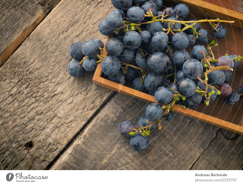 Weintrauben in einer Holzbox Frucht Dessert Bioprodukte Vegetarische Ernährung Diät Gesunde Ernährung Sommer Natur lecker agriculture berry blue branch bunch