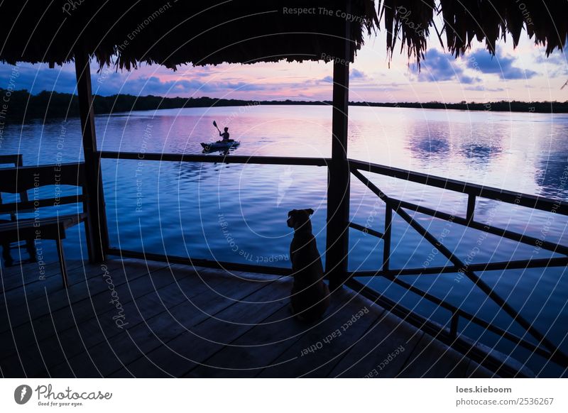 Dog watching girl in kanu at lagoon during sunset Ferien & Urlaub & Reisen Tourismus Ferne Sommer Sonne Strand Meer Insel Wellen Wassersport Natur Wolken