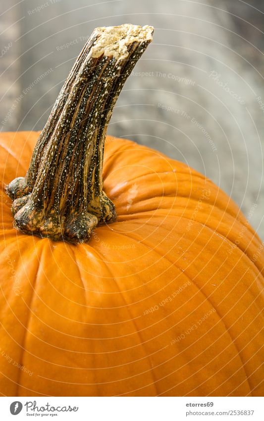 Kürbis und Herbstblätter auf Holz Lebensmittel Gesunde Ernährung Foodfotografie orange Gemüse Halloween festlich Jahreszeiten Oktober Hundefutter rustikal