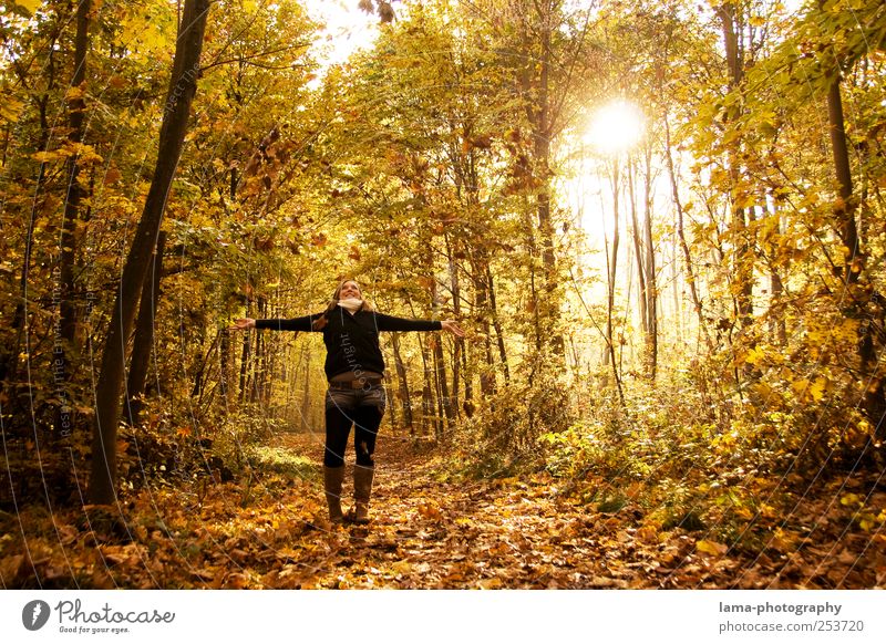 Goldene Zeiten Freude 1 Mensch Sonnenlicht Herbst Blatt Herbstlaub Herbstlandschaft Herbstwald lachen Fröhlichkeit gelb gold Glück herbstlich Sonnenstrahlen