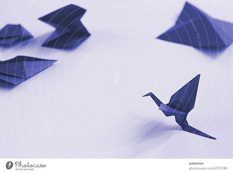 Origami Design Freizeit & Hobby Basteln Kinderspiel Papier falten Tier Vogel Kranich 1 Schreibwaren Zettel Spielzeug Dekoration & Verzierung ästhetisch