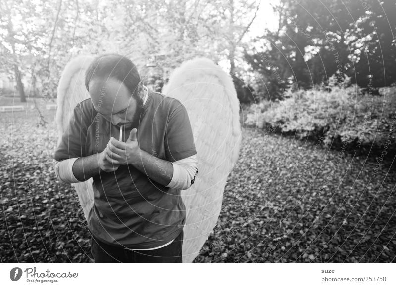 Bengel Rauchen Mensch maskulin Mann Erwachsene 1 30-45 Jahre Umwelt Natur Pflanze Herbst Park Flügel Engel außergewöhnlich fantastisch einzigartig Hoffnung