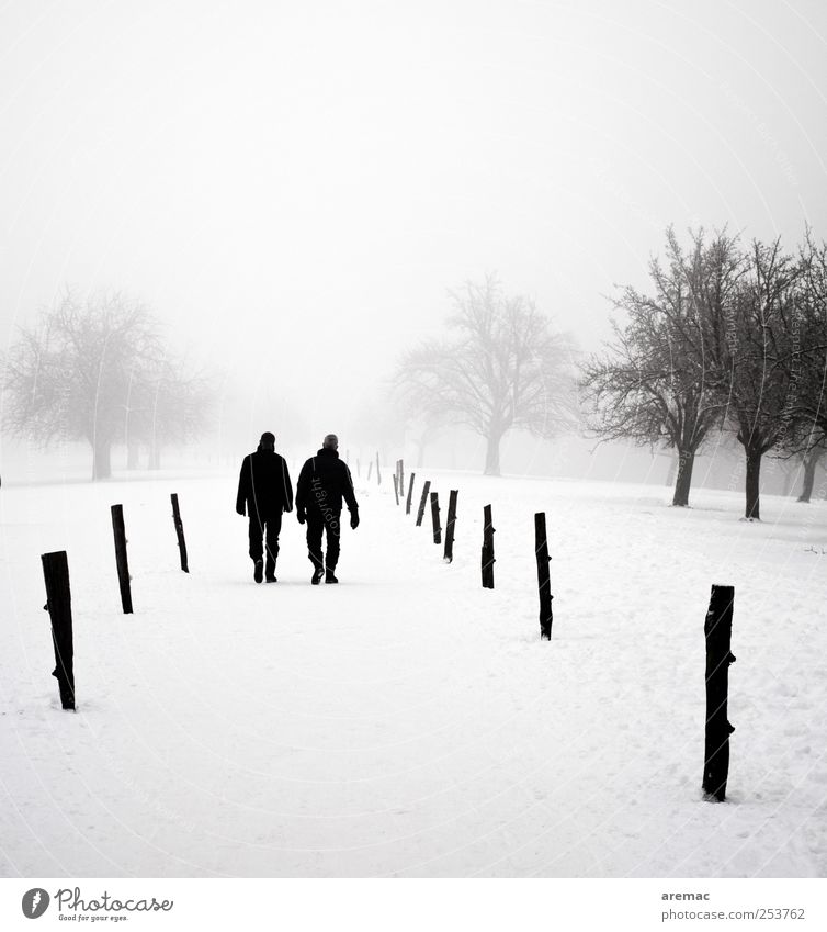 Zwiegespräch Winter Mensch maskulin Mann Erwachsene Paar 2 Natur Landschaft Pflanze Nebel Schnee Baum Park Erholung gehen sprechen wandern kalt grau