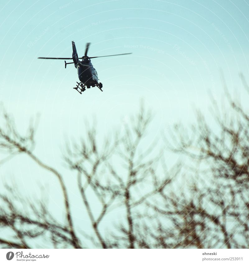 Hubschraubär Himmel Baum Ast Verkehr Luftverkehr Hubschrauber fliegen Flugangst Farbfoto Außenaufnahme Luftaufnahme Schwache Tiefenschärfe