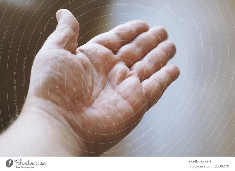 männliche offene Hand Mensch maskulin Mann Erwachsene Finger authentisch Handfläche gestikulieren Hilfsbereitschaft zeigen Farbfoto Gedeckte Farben