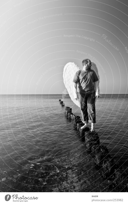 Engel Freiheit Meer Mensch maskulin Mann Erwachsene 1 30-45 Jahre Wasser Horizont Küste Ostsee Flügel stehen außergewöhnlich Hoffnung Glaube Religion & Glaube