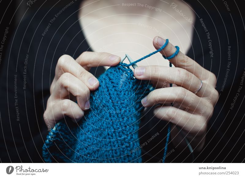 stricken Lifestyle Freizeit & Hobby Handarbeit feminin Frau Erwachsene Finger 1 Mensch Wolle Schal festhalten machen authentisch blau Idee Stricknadel