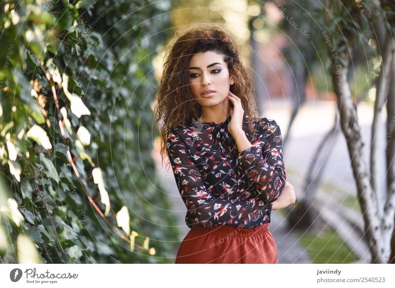 Schöne junge arabische Frau mit schwarzer lockiger Frisur Lifestyle Stil schön Haare & Frisuren Mensch feminin Junge Frau Jugendliche Erwachsene 1 18-30 Jahre