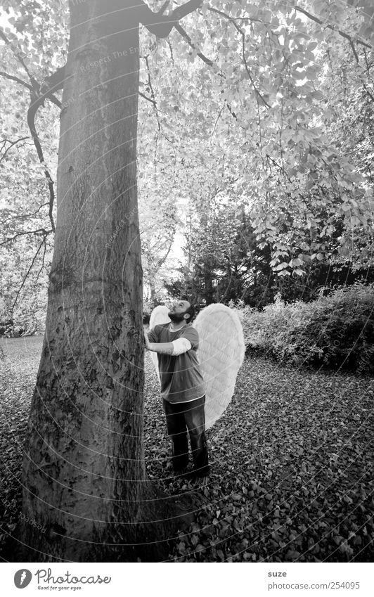 Engel Mensch maskulin Mann Erwachsene 1 30-45 Jahre Umwelt Natur Pflanze Erde Herbst Baum Blatt Park Flügel stehen außergewöhnlich Macht Hoffnung