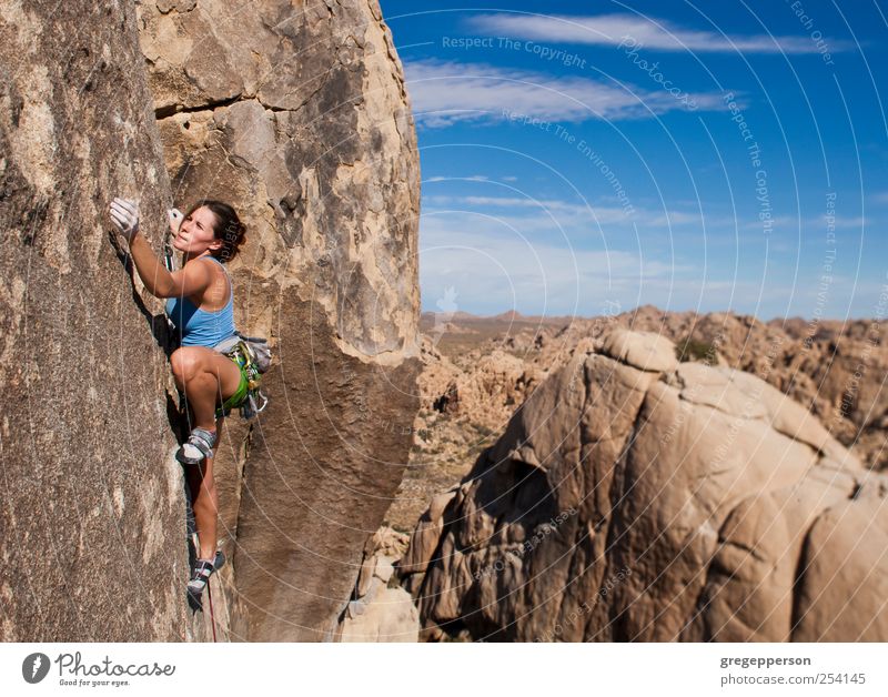 Weibliche Klettererin, die sich an eine Klippe klammert. Abenteuer Sport Klettern Bergsteigen Erfolg Seil Junge Frau Jugendliche 1 Mensch 18-30 Jahre Erwachsene
