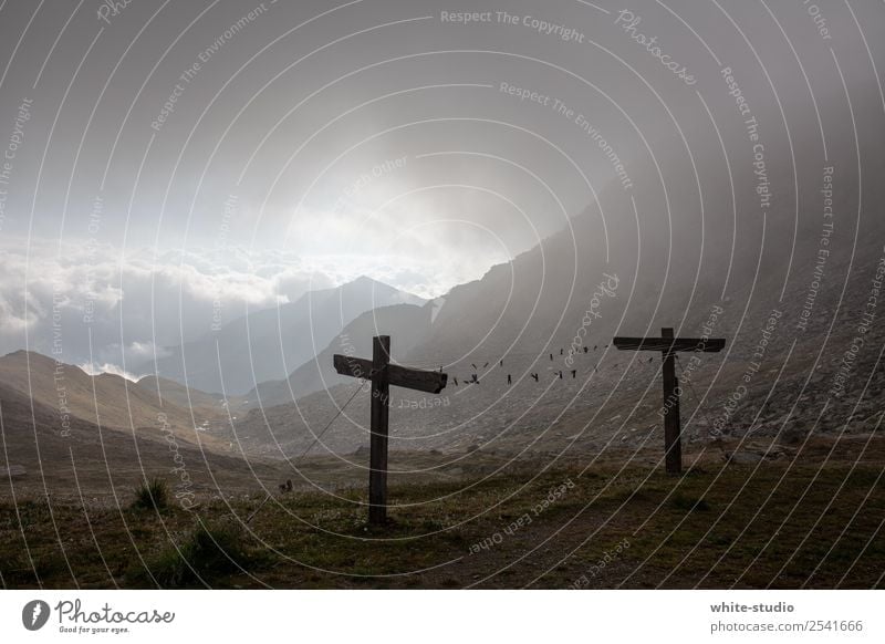 Düsterland Umwelt Natur wandern Nebel Nebelschleier Nebelwand Nebelbank Christliches Kreuz Nebelstimmung Nebeldecke Nebellandschaft Nebelfeld Tal