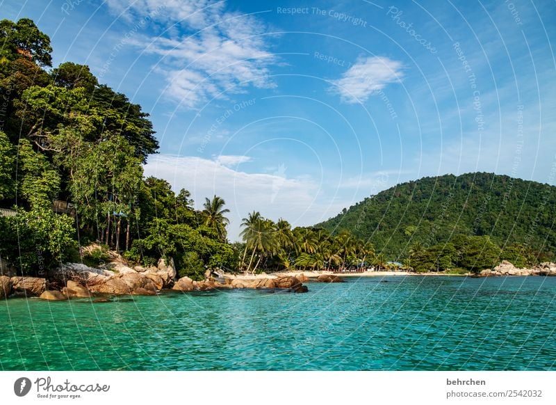 malaysia Fernweh Paradies Trauminsel Malaysia Asien schön exotisch träumen genießen Erholung perhentian besar Insel Meer Strand Küste Wellen Felsen Urwald Palme