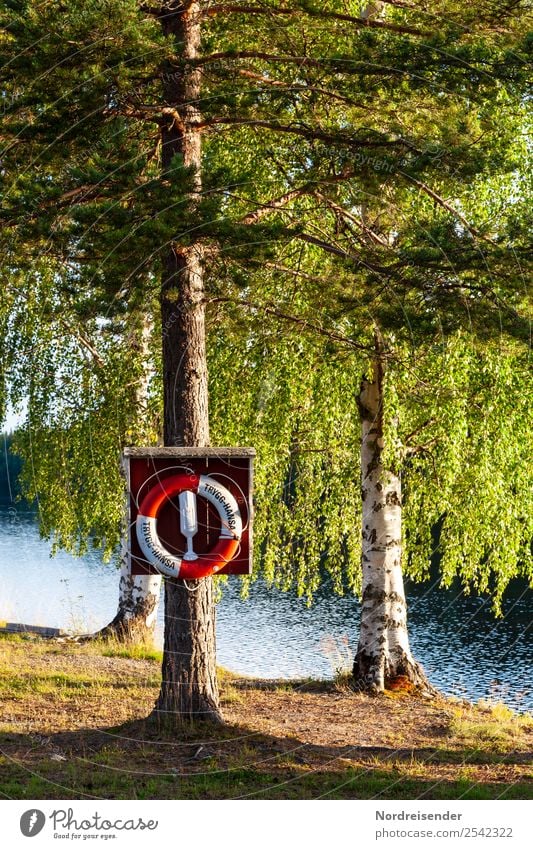 Badesee in Schweden Ferien & Urlaub & Reisen Tourismus Camping Sommer Sommerurlaub Sonne Wasser Schönes Wetter Baum Wald Seeufer Schwimmen & Baden ruhig