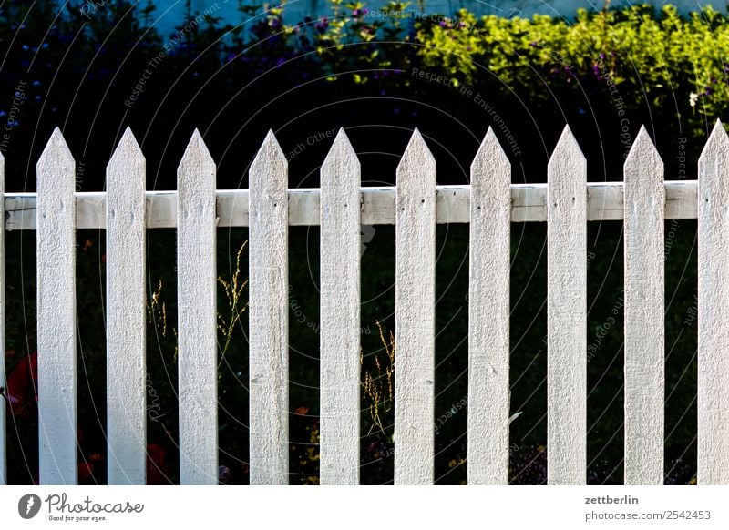 Zaun Gartenzaun Holzzaun staketen Zaunpfahl Holzbrett Nachbar Grenze Barriere Textfreiraum Menschenleer weiß Neugier Spitze