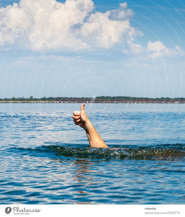 Die Hand des Mannes ragt aus dem Wasser. Ferien & Urlaub & Reisen Sommer Meer Erfolg Schwimmen & Baden Erwachsene Finger Natur Himmel Bewegung gut blau weiß