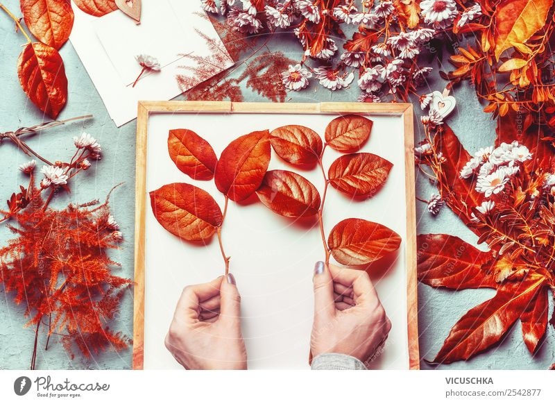 Weibliche hände halten Zweige mit Herbstblättern Stil Design Dekoration & Verzierung Feste & Feiern feminin Frau Erwachsene Hand Blume Blatt Blüte Blumenstrauß
