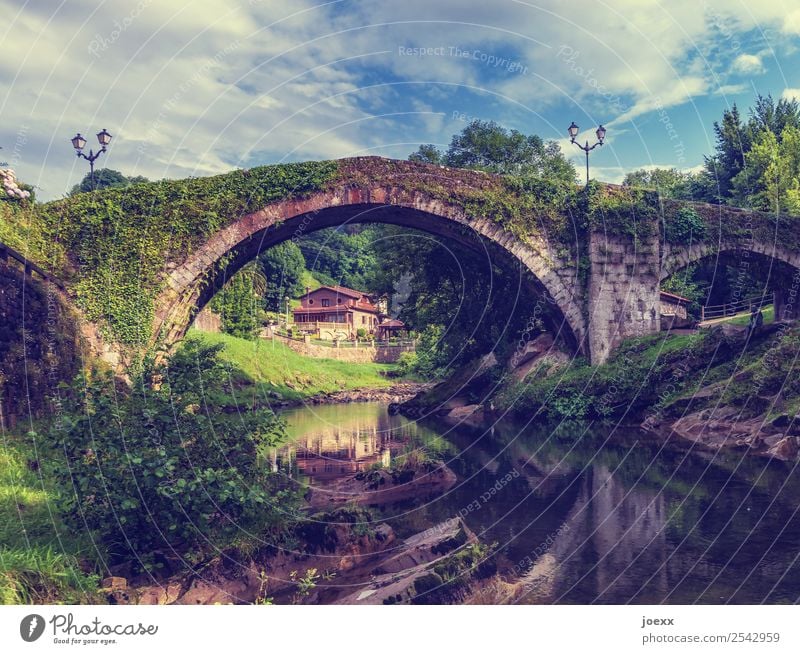 Historische Steinbrücke mit Rundbogen und Spiegelung im Bach, Haus im Hintergrund Brücke Halbkreis alt efeu bewachsen Natur Himmel blau Sommer Landschaft