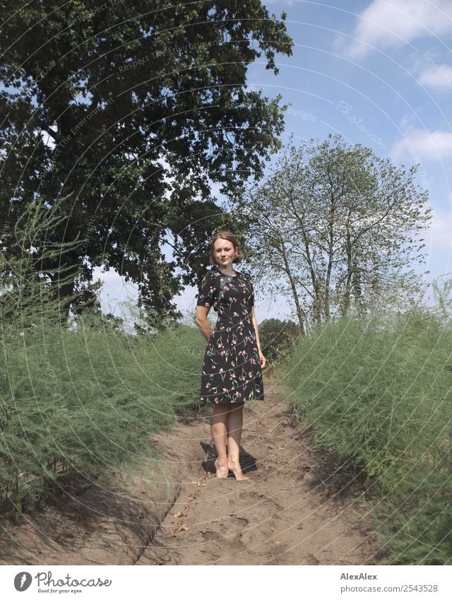 Junge Frau im Sommerkleid steht in einem Spargelfeld Freude schön Leben Ausflug Abenteuer Jugendliche 18-30 Jahre Erwachsene Umwelt Landschaft Erde Baum Feld