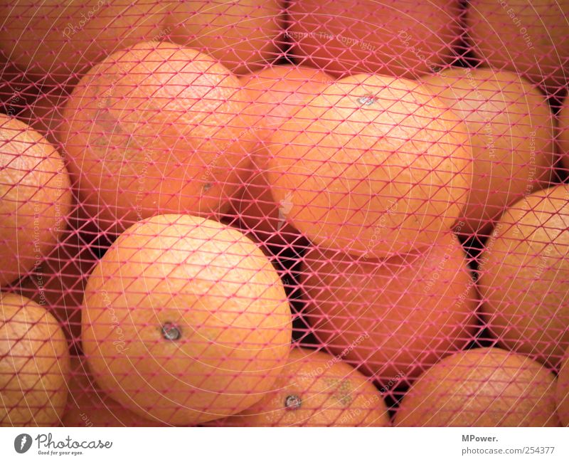 vernetzte Vitamine Gesundheit gut lecker saftig sauer Orange Mandarine Netz süß Bioprodukte frisch rund vitaminreich Appetit & Hunger Ernährung Lebensmittel