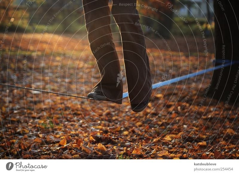 balance Beine Fuß Zirkus Natur Herbst Baum Blatt Park Bewegung hoch oben braun gold selbstbewußt Optimismus Sicherheit Gelassenheit geduldig ruhig