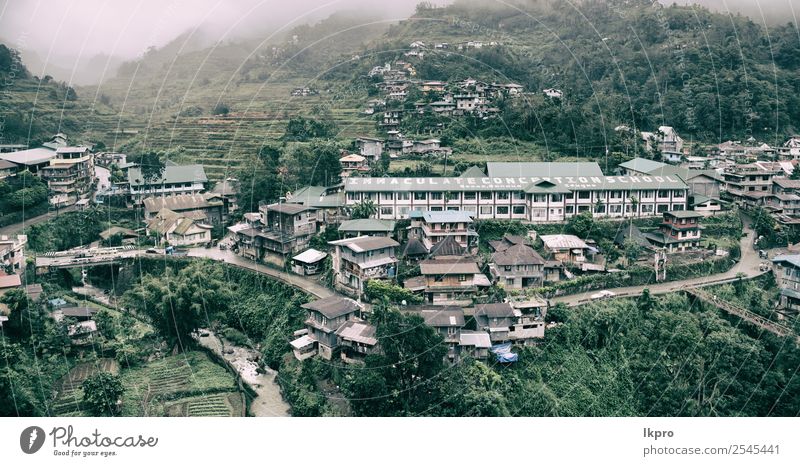 Anbau von Reis aus der Unesco-Banaue schön Ferien & Urlaub & Reisen Berge u. Gebirge wandern Haus Umwelt Natur Landschaft Pflanze Erde Wind Nebel Regen Blatt