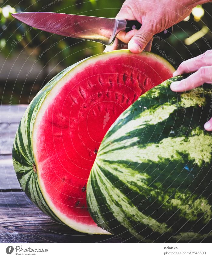 reife große Wassermelone Frucht Dessert Ernährung Vegetarische Ernährung Diät Messer Sommer Hand Natur Essen frisch lecker natürlich saftig grün rot Farbe