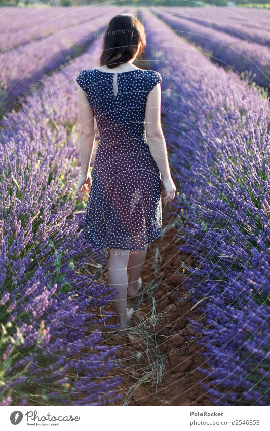 #A# walking away Umwelt Natur ästhetisch Frankreich Provence violett Lavendel Lavendelfeld Lavendelernte Kleid Mädchen Frau Idylle mädchenhaft zart entdecken