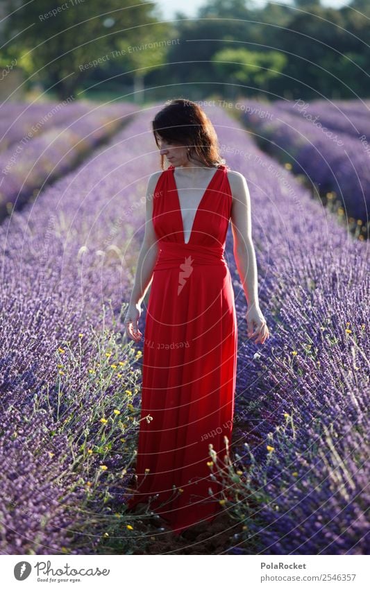 #A# The French Girl feminin 1 Mensch ästhetisch verträumt träumen traumhaft Traumwelt Idylle Frau friedlich rot Kleid Landschaft Blühend Blühende Landschaften