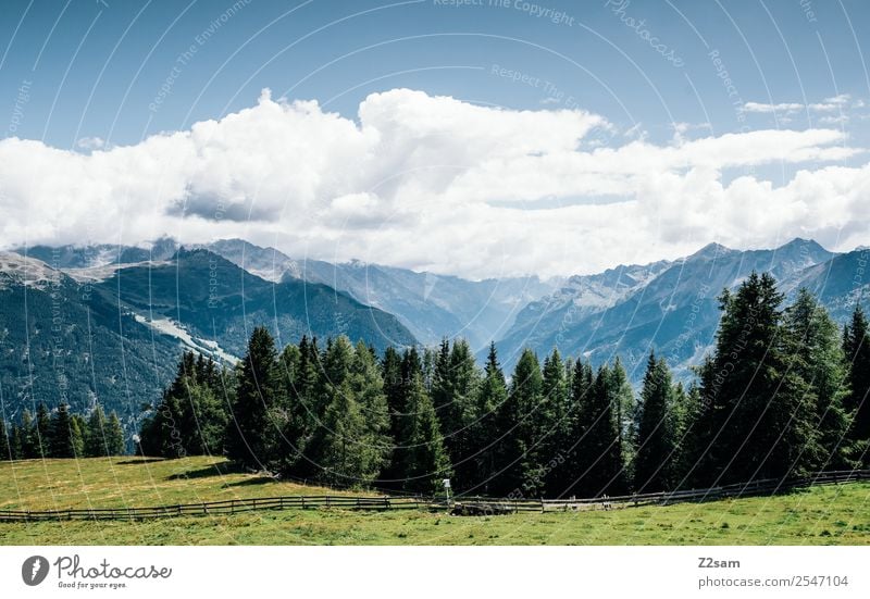 Richtung Pitztal Ferien & Urlaub & Reisen Berge u. Gebirge Natur Landschaft Himmel Sommer Schönes Wetter Wiese Wald Alpen ästhetisch nachhaltig natürlich blau