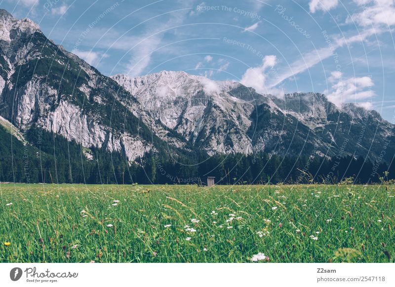 Karwendel Berge u. Gebirge wandern Umwelt Natur Landschaft Himmel Wolken Sommer Schönes Wetter Gras Blatt Blume Wiese Alpen gigantisch natürlich Einsamkeit