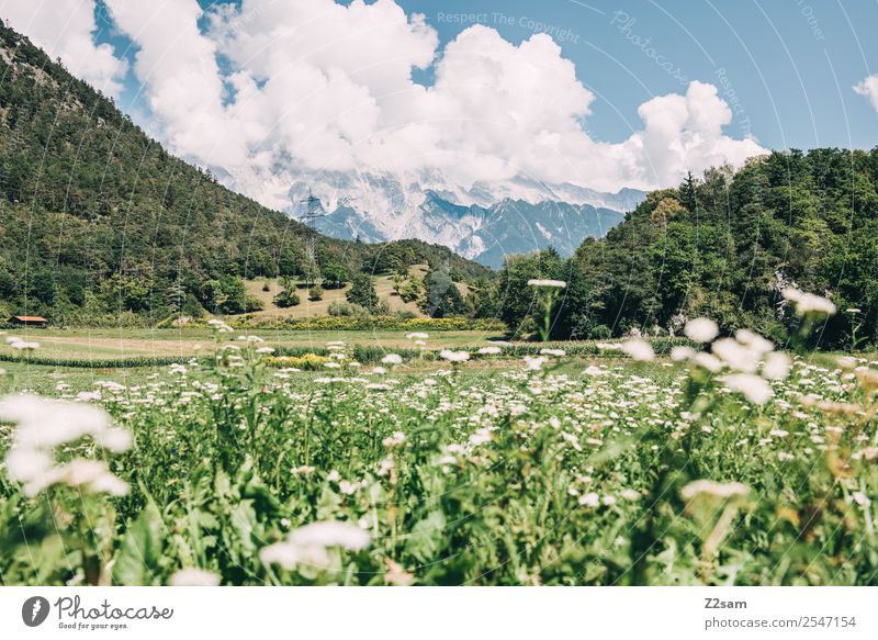 Inntal / Austria Ferien & Urlaub & Reisen Ausflug wandern Umwelt Natur Landschaft Wolken Sommer Schönes Wetter Blume Wiese Alpen Berge u. Gebirge Gipfel