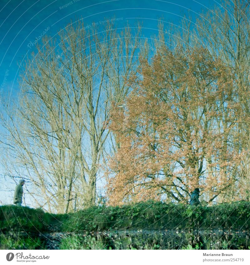 doppelte Spiegelung Mensch Umwelt Natur Wasser Baum blau gelb grün Park Bach Fluss Wasseroberfläche Reflexion & Spiegelung Flussufer Himmel gehen Bewegung