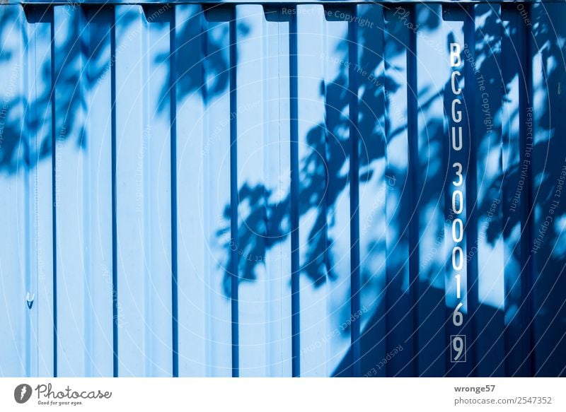Laubcontainer Container Baum Stahl Schriftzeichen Ziffern & Zahlen blau Schatten Schattenspiel Ast Blatt Blätterdach Lichtspiel Buchstaben Farbfoto